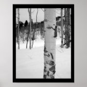 Colorado Winter Aspen Tree Poster (Vorne)