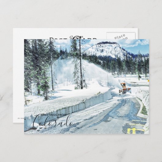 Colorado Winter Deep Snow Postkarte (Vorne/Hinten)