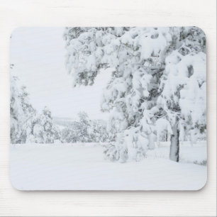 Colorado Winter Mousepad