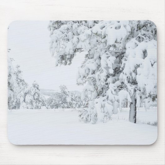Colorado Winter Mousepad (Vorne)