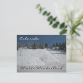 Colorado Winterwunderland Postkarte (Stehend Vorderseite)