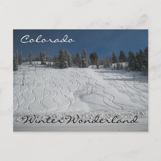 Colorado Winterwunderland Postkarte (Vorderseite)