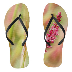 Colore Badesandalen