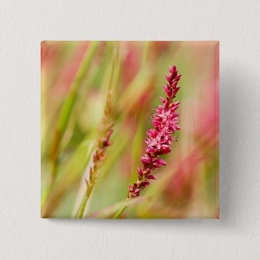 Colore Button (Vorderseite)