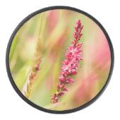 Colore Eishockey Puck (Vorderseite)