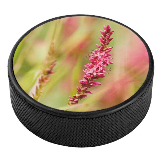 Colore Eishockey Puck (3/4)