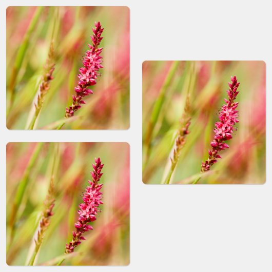 Colore Etiketten (Gruppe)