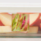 Colore Etiketten (Befestigt)