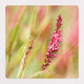 Colore Etiketten (Design 1)