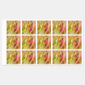 Colore Etiketten (Blatt)