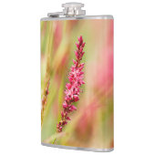 Colore Flachmann (Links)