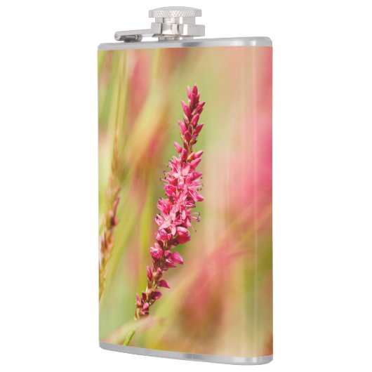 Colore Flachmann (Links)