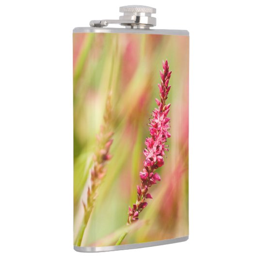 Colore Flachmann (Rechts)