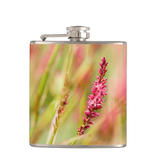 Colore Flachmann (Vorderseite)