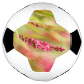 Colore Fußball (Gedreht)