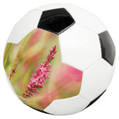 Colore Fußball (Dreiviertel)