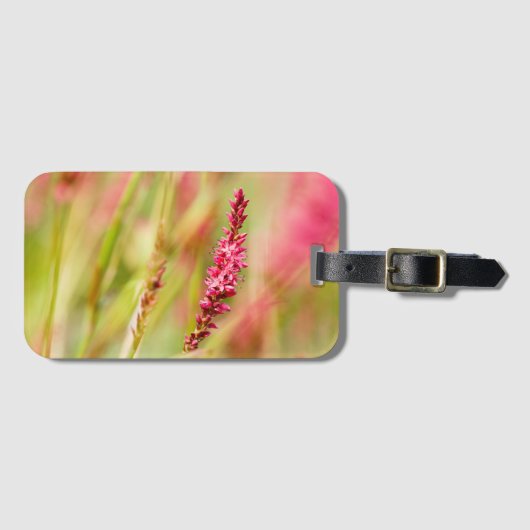 Colore Gepäckanhänger (Vorderseite (Horizontal))