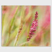 Colore Geschenkpapier (Flach)