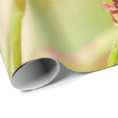 Colore Geschenkpapier (Rolleneckpunkt)