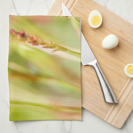 Colore Geschirrtuch (Viertel Falte)