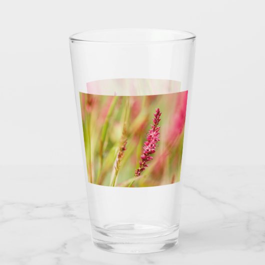 Colore Glas (Rückseite)