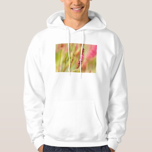 Colore Hoodie (Vorderseite)