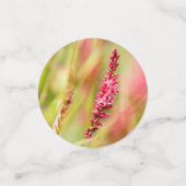 Colore Konfetti (Klein Vorderseite)