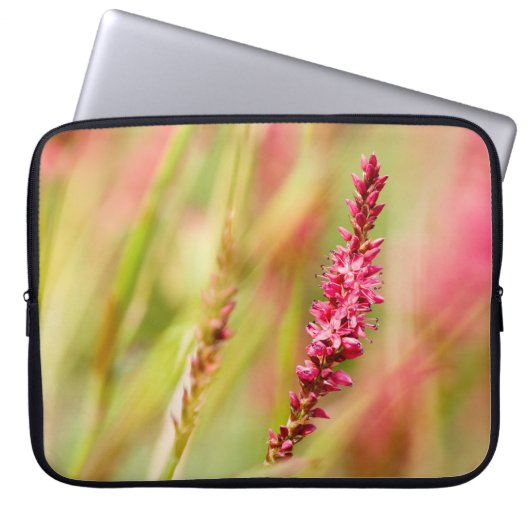 Colore Laptopschutzhülle (Vorderseite)