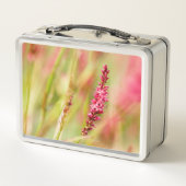 Colore Metall Brotdose (Rückseite)