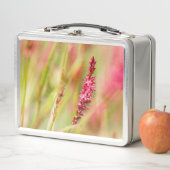 Colore Metall Brotdose (Beispiel)