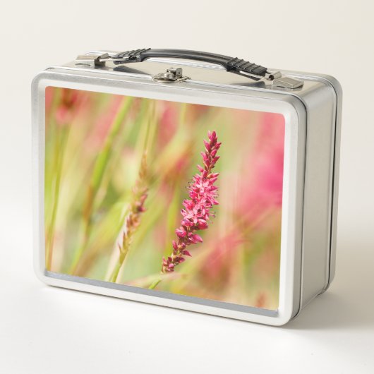 Colore Metall Brotdose (Vorderseite)