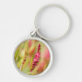 Colore Schlüsselanhänger (Vorne)