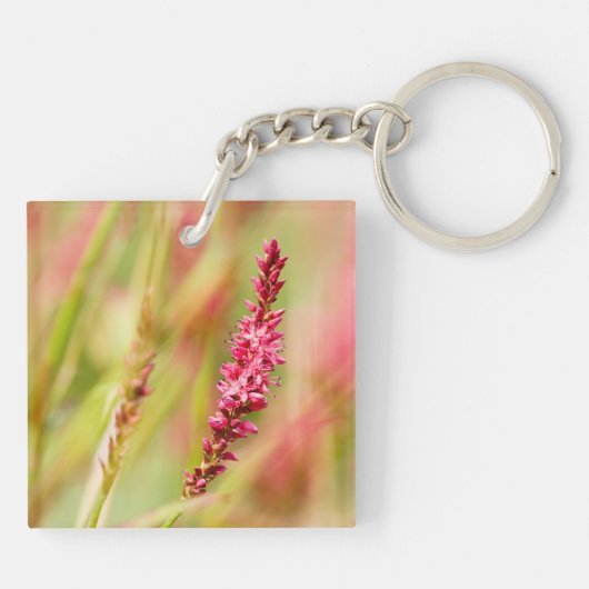 Colore Schlüsselanhänger (Rückseite)