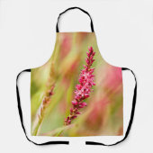 Colore Schürze (Vorderseite)