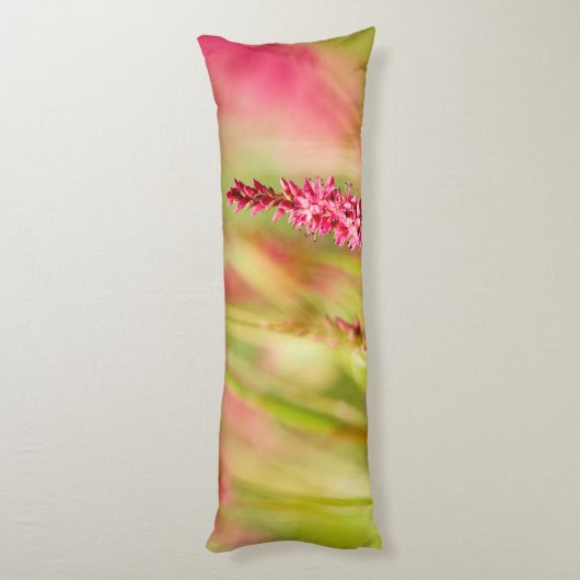 Colore Seitenschläferkissen (Rückseite (Vertikal))