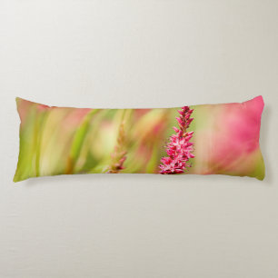 Colore Seitenschläferkissen