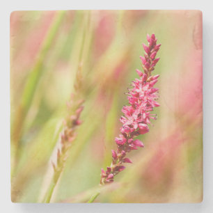 Colore Steinuntersetzer