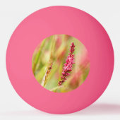 Colore Tischtennisball (Rückseite)
