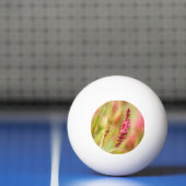 Colore Tischtennisball (Netto)