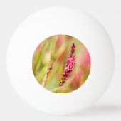 Colore Tischtennisball (Rückseite)