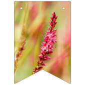 Colore Wimpelkette (Erste Fahne)