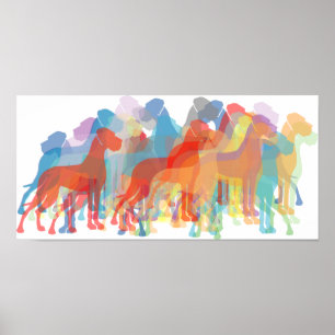 Colored Danes Poster