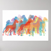 Colored Danes Poster (Vorne)