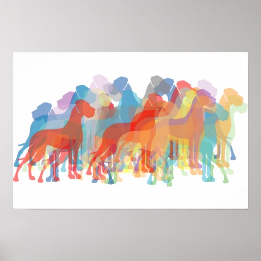 Colored Danes Poster (Vorne)