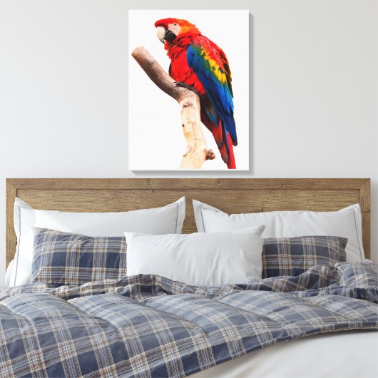 Colored Parrot Leinwanddruck (Insitu (Schlafzimmer))