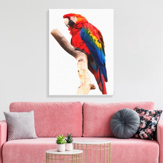 Colored Parrot Leinwanddruck (Insitu (Wohnzimmer))