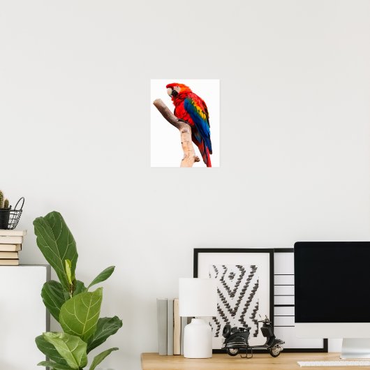 Colored Parrot Poster (Heimbüro)