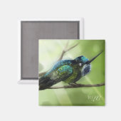 Colorfly Magnet (Vorderseite/Rückseite)