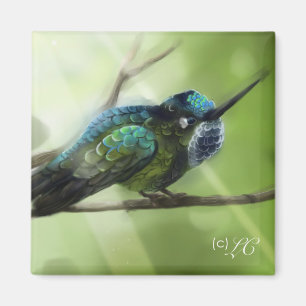 Colorfly Magnet