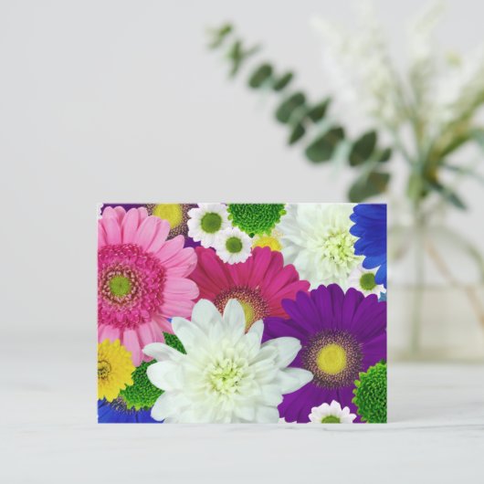 Colorfor Daisies Postcard Postkarte (Stehend Vorderseite)